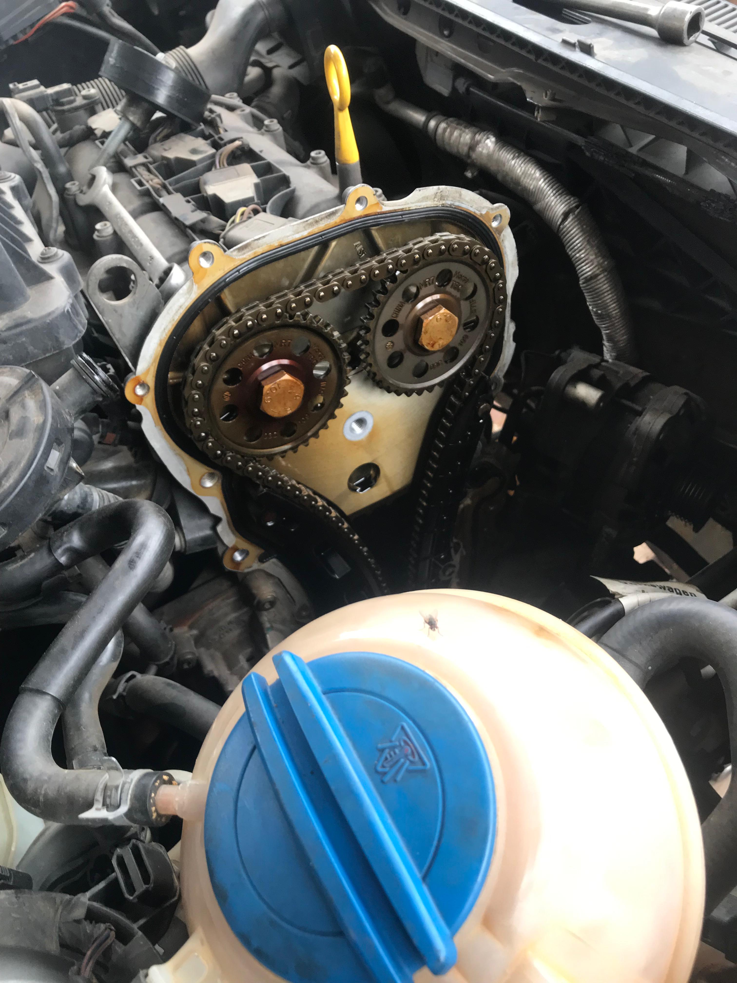 Timing chain and camshaft gears