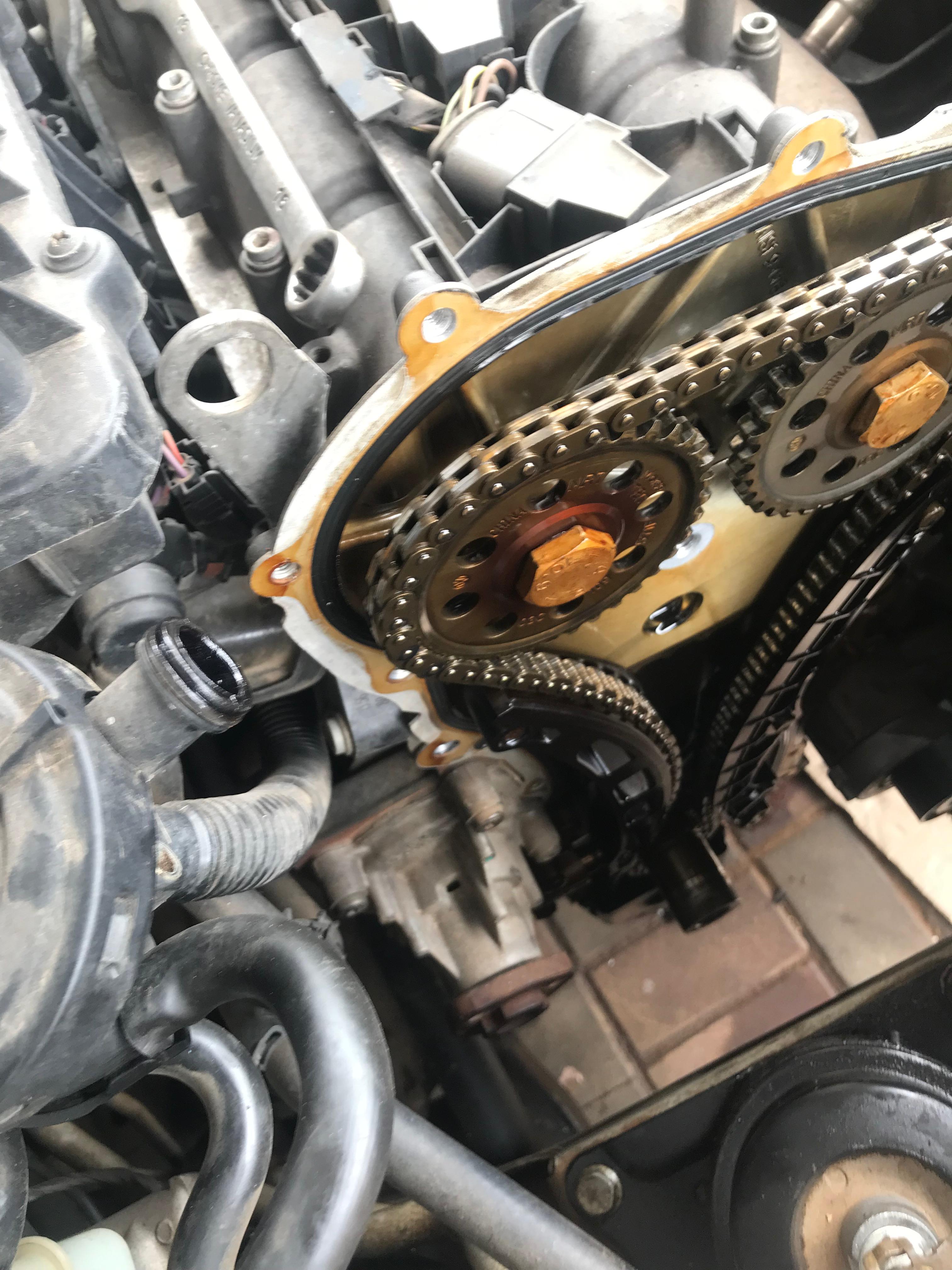 Full view of timing chain assembly
